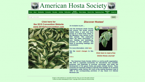 American Hosta Society  AHS